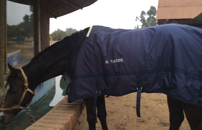 Welcome to Scandinavia Hotel B b - Photo 6