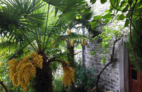 Summerhouse Beram - Foto 20