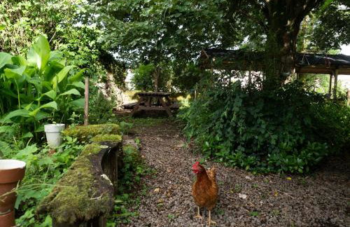 Pont Vieux - Foto 29