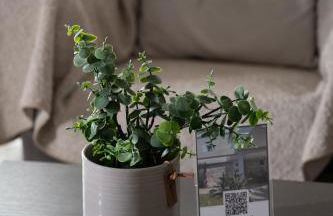 Villa Evanthia - Foto 17