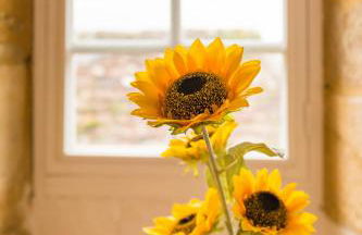 La Tour de Beynac, XIVe siècle, au cœur du village - Foto 14