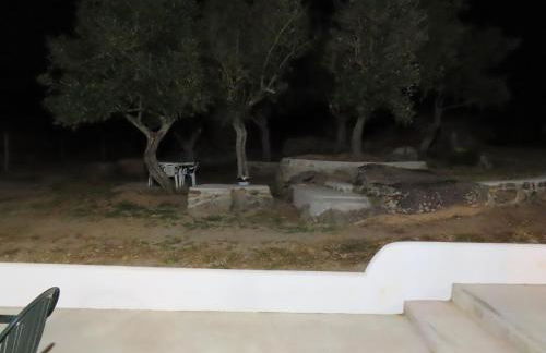 MONTE DO SALTO DA RAPOSA - Foto 48