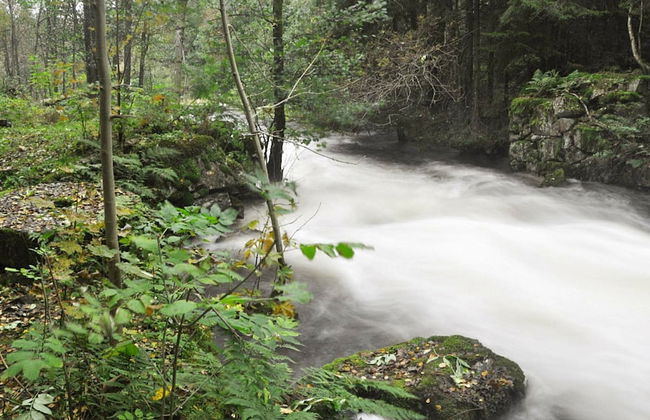 5 Person Holiday Home in Torsby - Foto 12