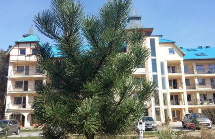 BLUE MARE Apartamenty MES - Foto 21