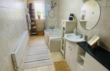 Little Dragons - Photo 7