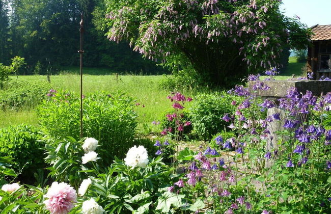 Apartment in Thuringia - Foto 30