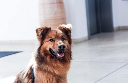 Carat Apartments Grömitz - Foto 57