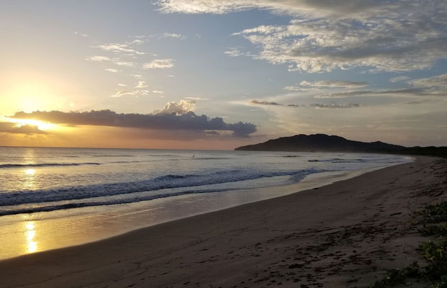 Palm Beach Inn - Foto 25