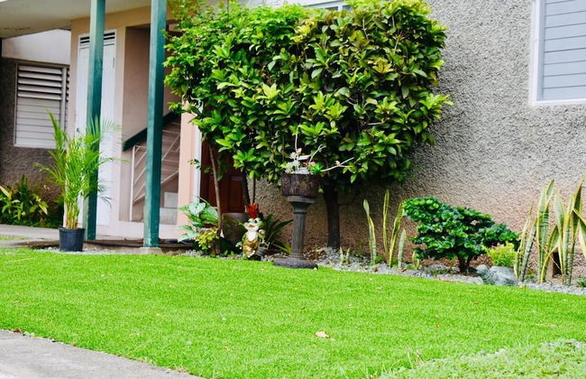 New Kingston Guest Apartment At Chelsea - Foto 19