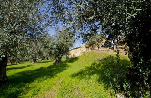 Xisto Sentido - Foto 32