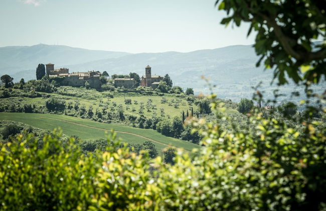 Agriturismo Le Colombe - Foto 66