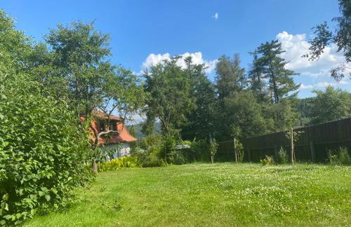 Ferienwohnungen Elsterblick Bad Elster - Foto 51