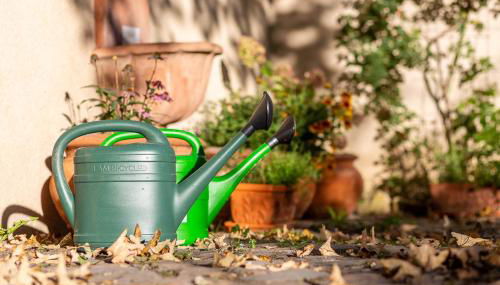 Gästehaus Geiseltalsee - Foto 5, Garden, Garden view