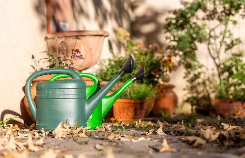 Gästehaus Geiseltalsee - Foto 5