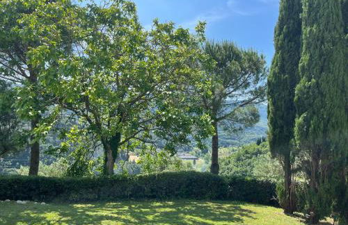 Casa Bianca - Foto 18