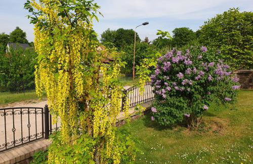 Ferienwohnung Familie Windt - Foto 23