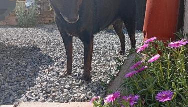 XXL apartman Treasure Hunters Academy - Foto 3