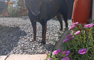 XXL apartman Treasure Hunters Academy - Foto 3