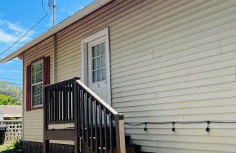 Little Carnation - Foto 1