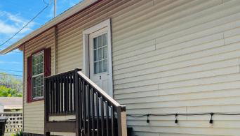 Little Carnation - Foto 1