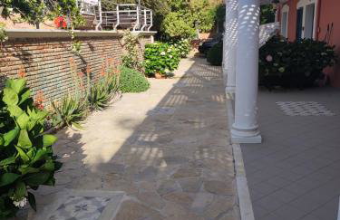 Metohi Georgila - Foto 7