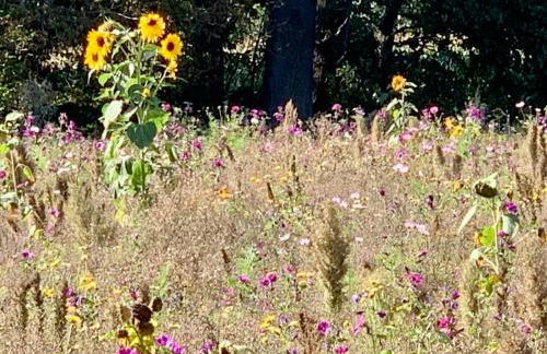 Wendlandhof Lüggau - Foto 25