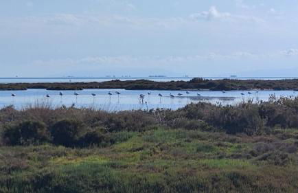 Casa FotoStudi37 - Foto 32