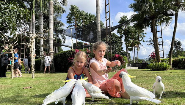 Visite au Zoo de Bali et petit-déjeuner avec les orangs-outans - Photo 2