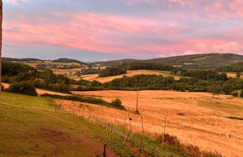 The Place to Be - Foto 24