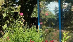 La Maison Bleue de Husseau Ancienne ferme semi-troglodytique 18e siècle - Photo 3