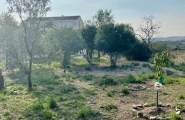 Masía entre viñedos y mar - Foto 36