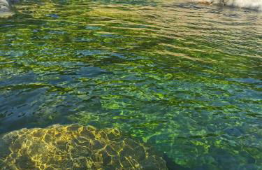Appartement Jardin et Piscine Les anges du maquis location Corse-du-Sud - Foto 28