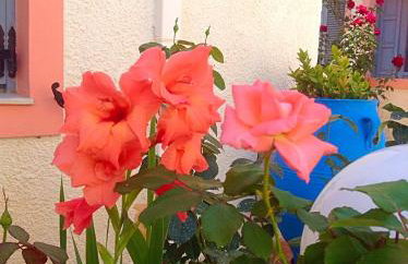 Palmira Apartments - Foto 72