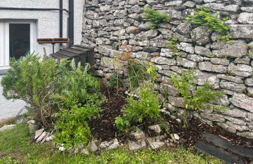 Oronsay Cottage - Foto 10