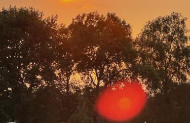 Das Blaue Haus - Foto 26