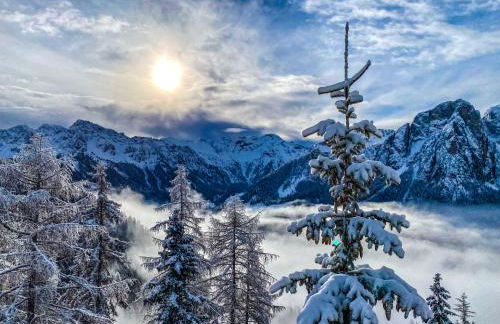 Cesa Bernard - Apartment Cima 12 e new Apartment Fraine - Foto 33