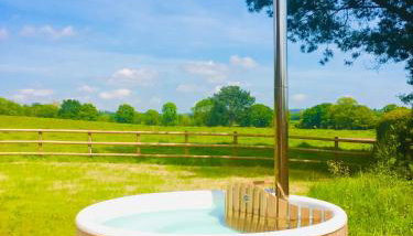 Deer Den timber clad cabin with hot tub, up private lane - Foto 3