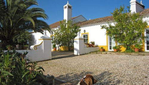 Monte da Japonica - Foto 2