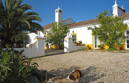 Monte da Japonica - Foto 2