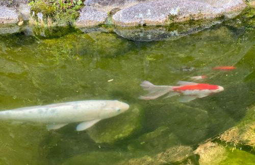 Chácara das Pedras Acolhedor, Alegria, Refúgio - Photo 58
