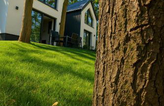 Treehouses - Foto 59