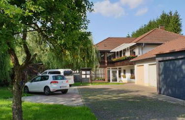 Froschkönig mit Teichblick - Photo 7