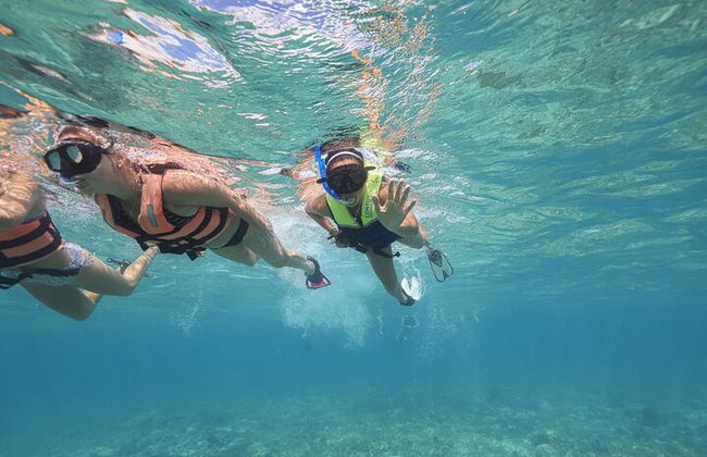 Isla Contoy e Isla Mujeres Tour saindo de Cancún - Foto 32
