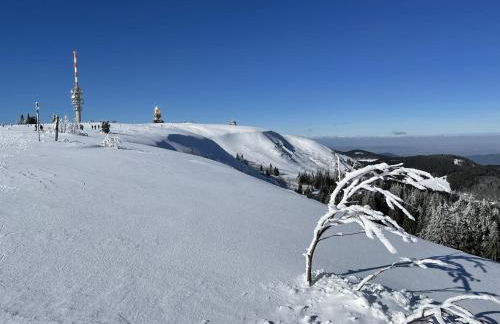 Ferienwohnung Penthouse Feldberg - Foto 42