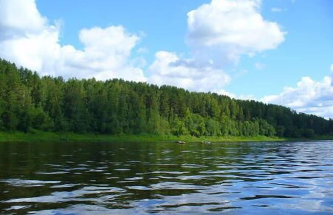 House on the Volga Zavidovo - Photo 22