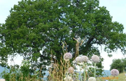 Casa della Casa - Foto 76