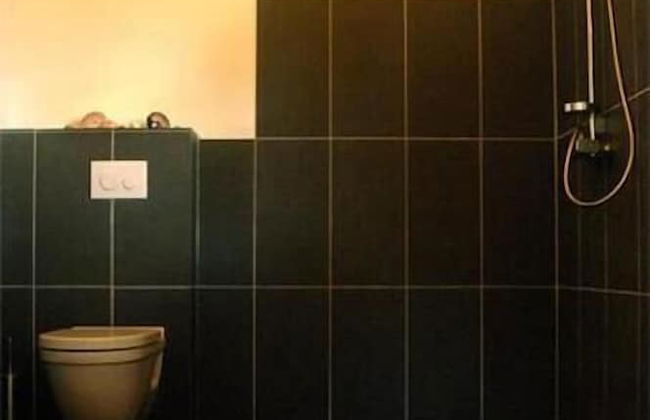 Vanuatu Uncharted Sport Fishing Lounge - Foto 15