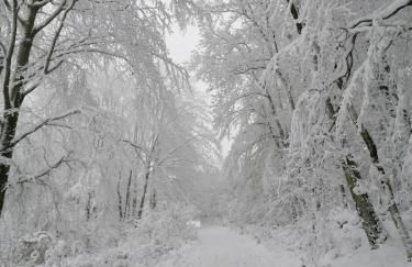 Emmerglück Lügde - Foto 28