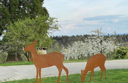 Bergchalet Mirabell - Hofgut - Foto 13