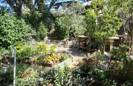 Les Lauriers Roses - Foto 27